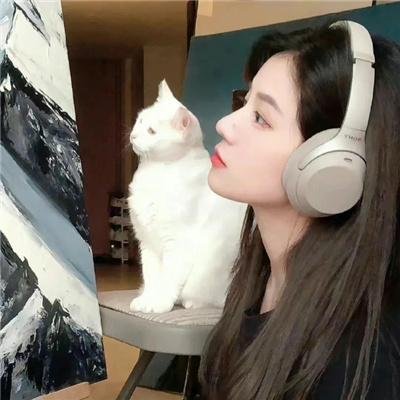 星星守护犬